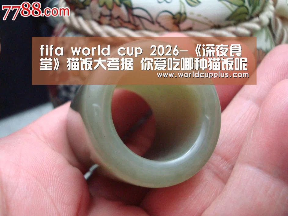 fifa world cup 2026-《深夜食堂》猫饭大考据 你爱吃哪种猫饭呢(图1) 2026 fifa world cup