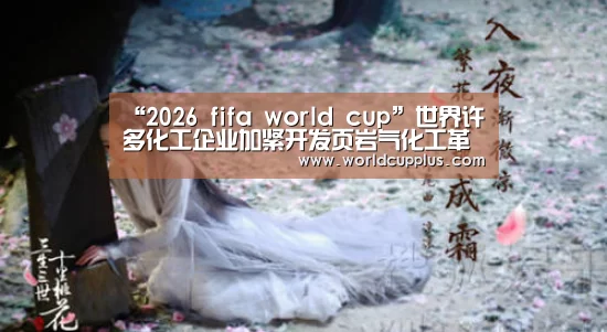 “2026 fifa world cup”世界许多化工企业加紧开发页岩气化工革命引发化工原料行业变革(图2) 2026 fifa world cup