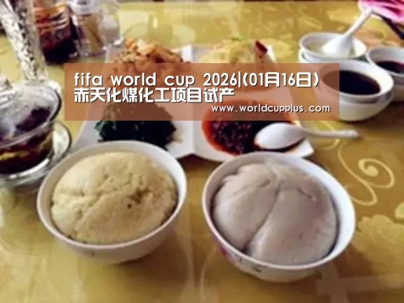 fifa world cup 2026|(01月16日)赤天化煤化工项目试产(图3) 2026 world cup