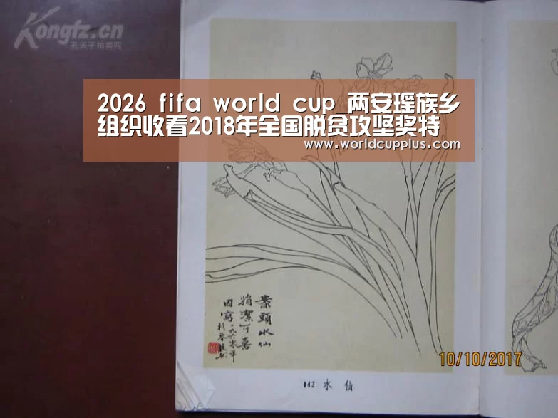 2026 fifa world cup_两安瑶族乡组织收看2018年全国脱贫攻坚奖特别节目(图1) fifa world cup