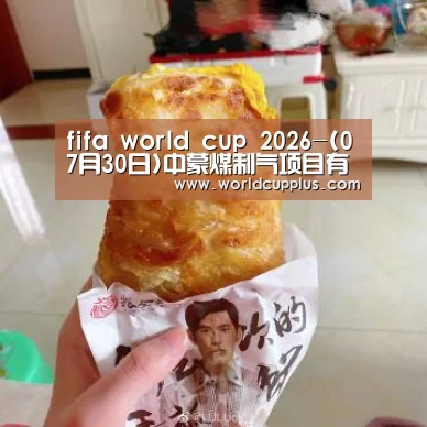fifa world cup 2026-(07月30日)中蒙煤制气项目有望落实能源多样化引发展机遇(图3) fifa world cup