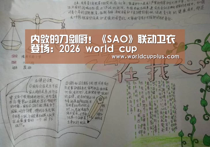 内敛的刀剑厨!《SAO》联动卫衣登场:2026 world cup(图2) fifa world cup 2026