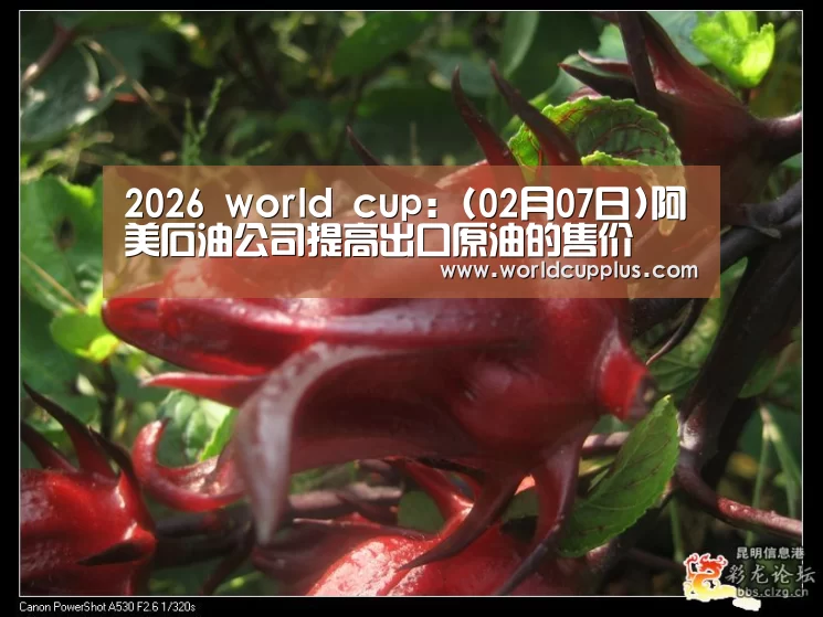 2026 world cup:(02月07日)阿美石油公司提高出口原油的售价(图2) fifa world cup