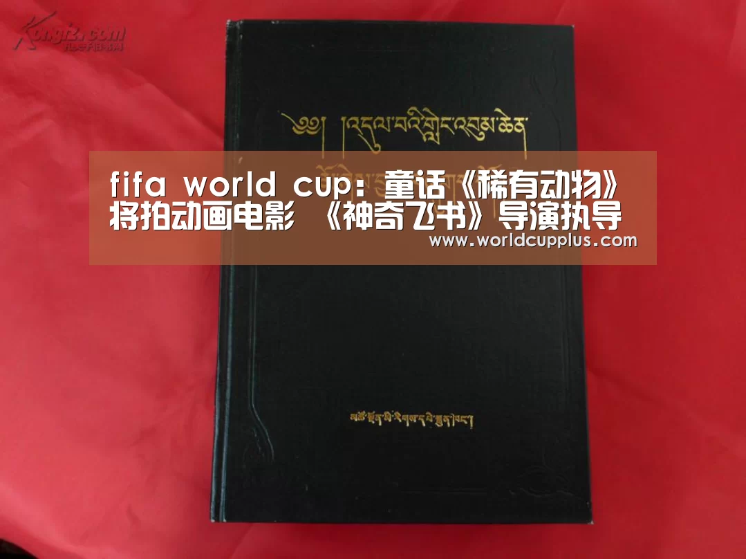 fifa world cup