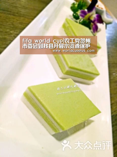 fifa world cup|农工党贺州市委会到我县开展水资源保护课题调研(图2) fifa world cup
