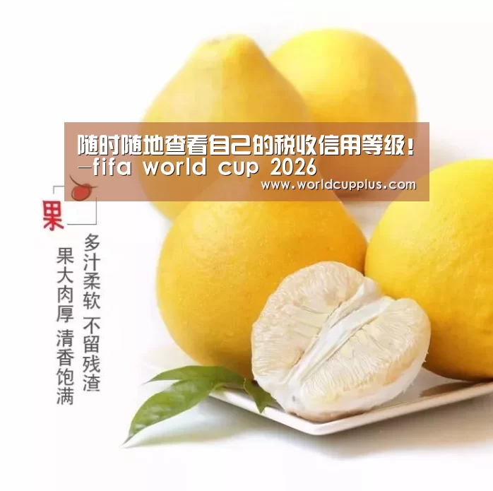 2026 world cup