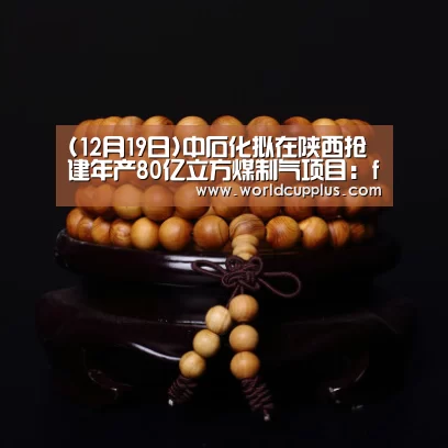 (12月19日)中石化拟在陕西抢建年产80亿立方煤制气项目:fifa world cup 2026(图3) fifa world cup 2026